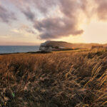 Winter view of Freshwater Bay on the Isle of Wight with cliffs, calm sea, and pebble beach under soft seasonal light.