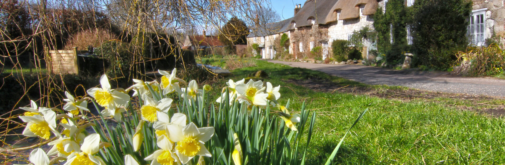Plan the perfect Easter Isle of Wight escape! Get exclusive ferry discounts, discover spring walks, and explore local farm shops like Harvey Browns. 🐣🚢