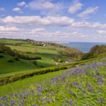 Plan the perfect Easter Isle of Wight escape! Get exclusive ferry discounts, discover spring walks, and explore local farm shops like Harvey Browns. 🐣🚢