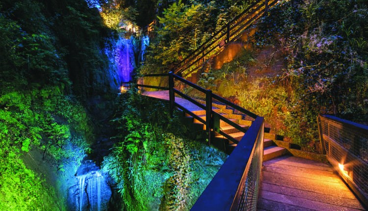 Colorful evening lights illuminating the lush trees and waterfalls of Shanklin Chine