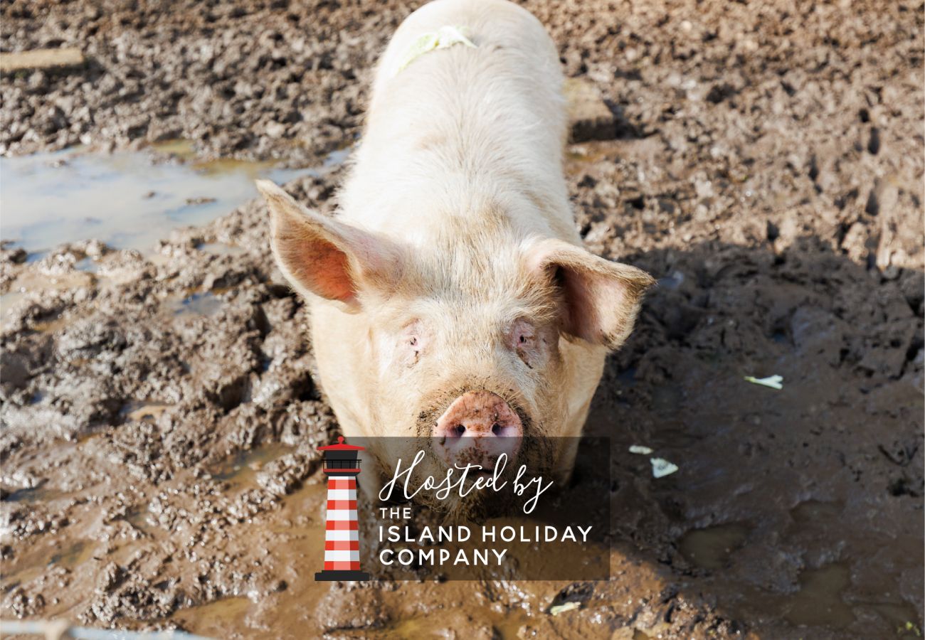 Cottage in Ryde - The Old Abbey Farmhouse, The Isle of Wight.