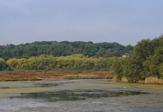 Bungalow in Seaview - The Hideaway The Isle of Wight Bungalow in Seaview - The Hideaway The Isle of Wight