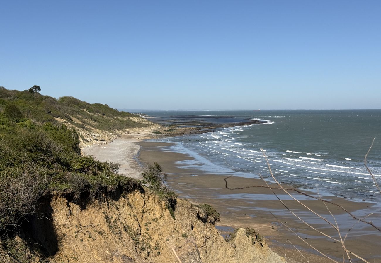 Coastal cliffs and shoreline overlooking Whitecliff Bay